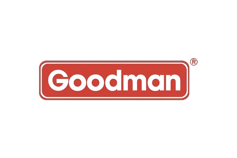 Goodman in Good Hope